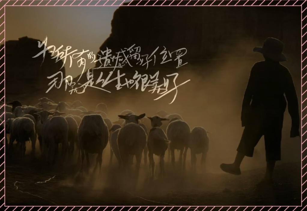明信片 C
